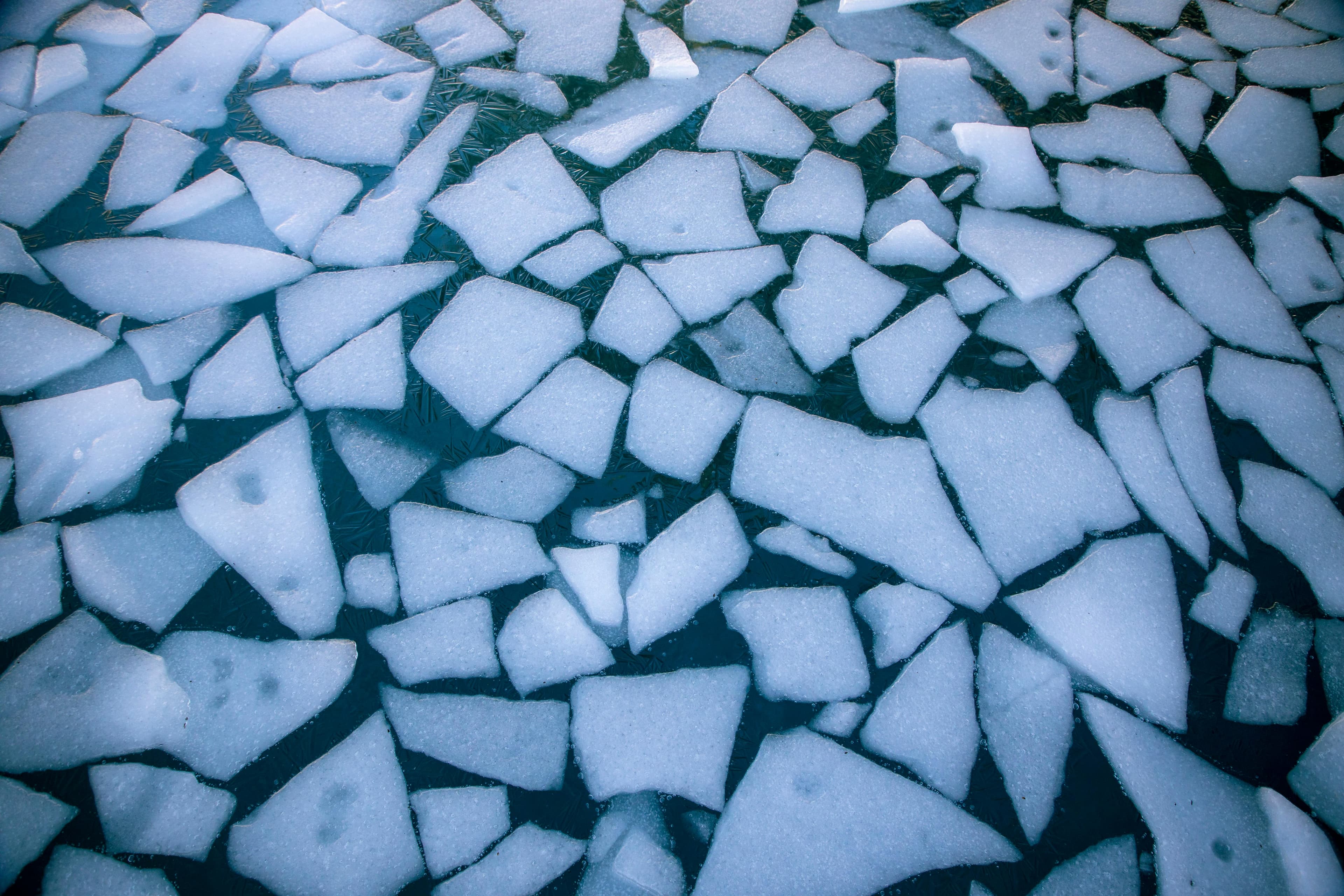 Entenda mais sobre as principais consequências do aquecimento global